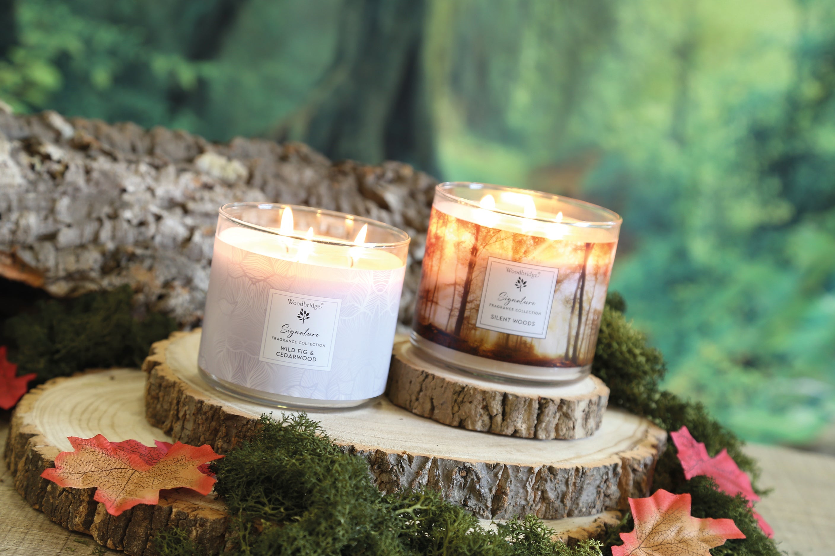 Candles
