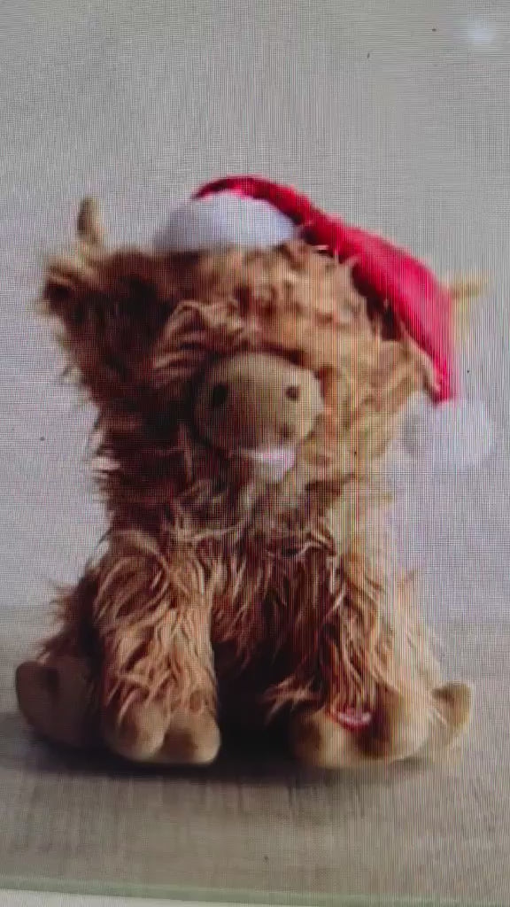 Load video: Highland Cow Let It Snow 30cm